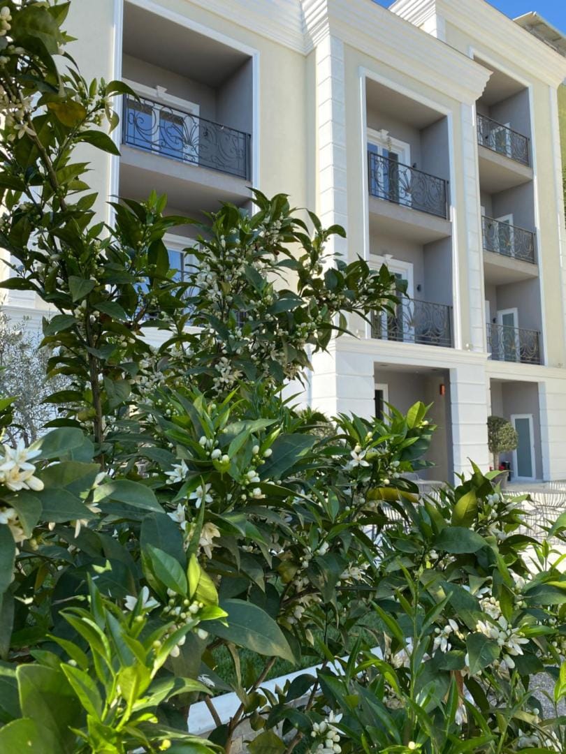 Greenery against the building